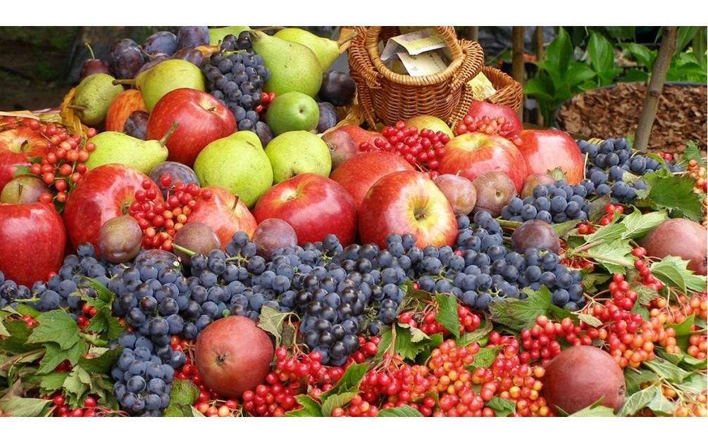 Why Buying Fresh and Local Matters: Benefits of Supporting Local Farmers Why Buying Fresh and Local Matters: Benefits of Supporting Local Farmers