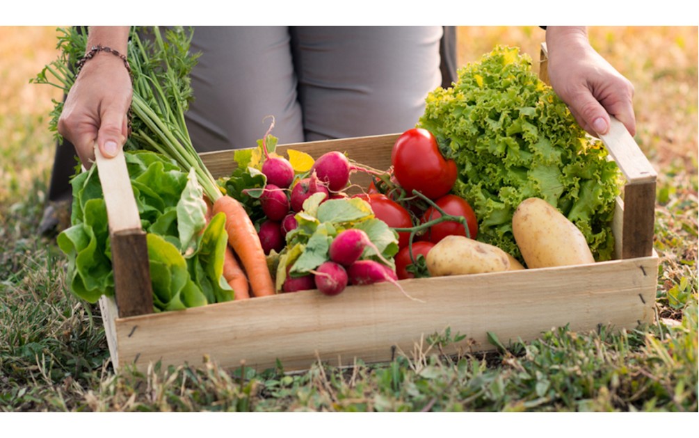Healthy Eating on a Budget: Grocery Staples That Go a Long Way Healthy Eating on a Budget: Grocery Staples That Go a Long Way